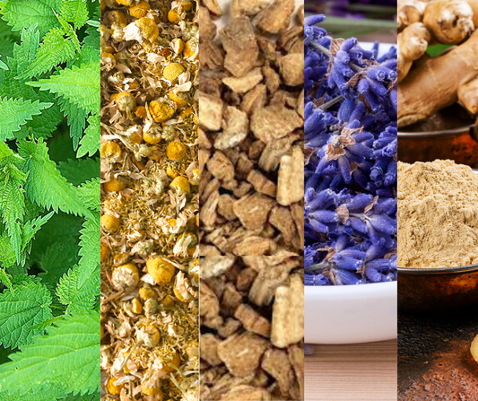 Top 5 Healing Herbs You Should Have in Your Kitchen