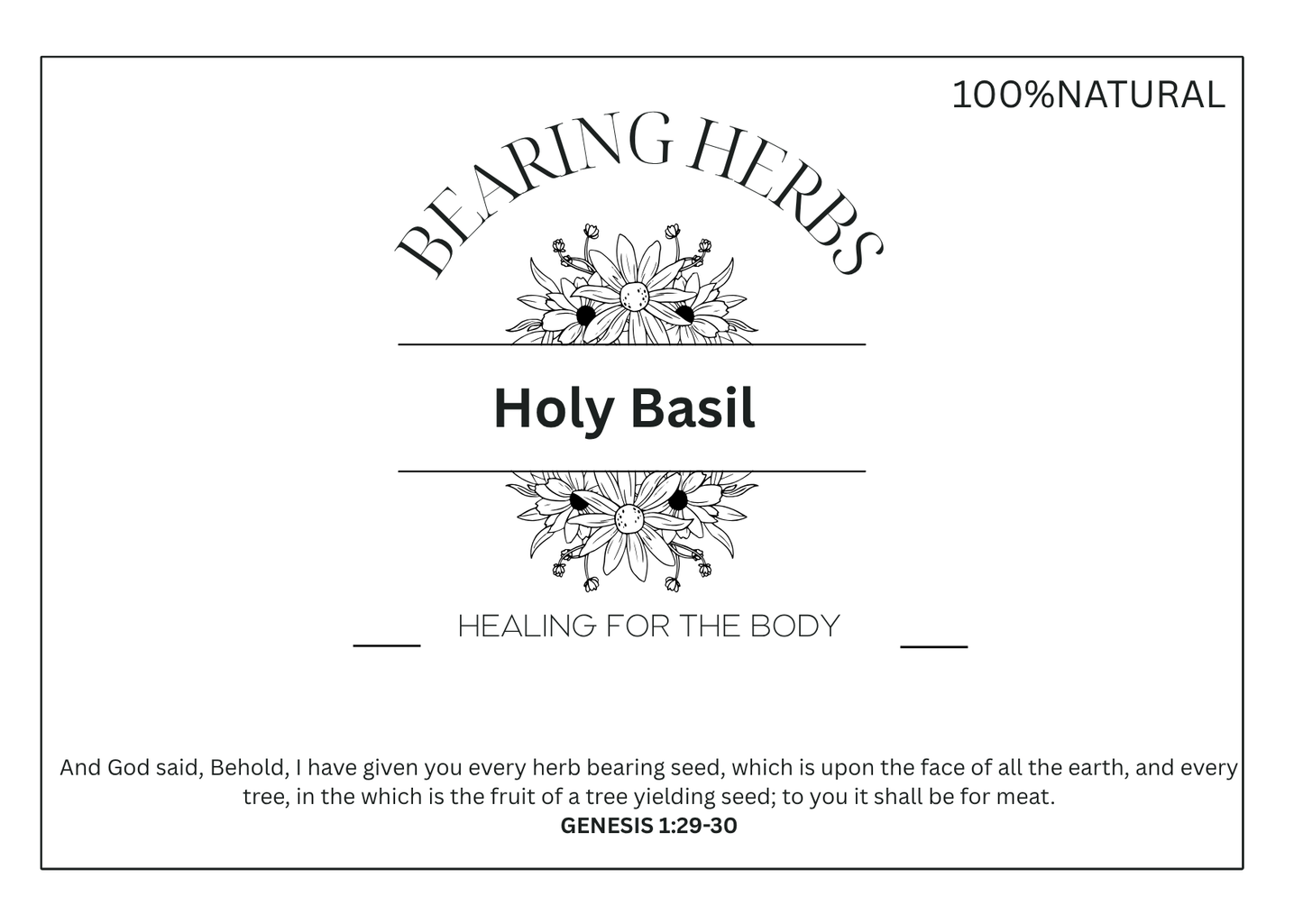 Holy Basil (Tulsi)