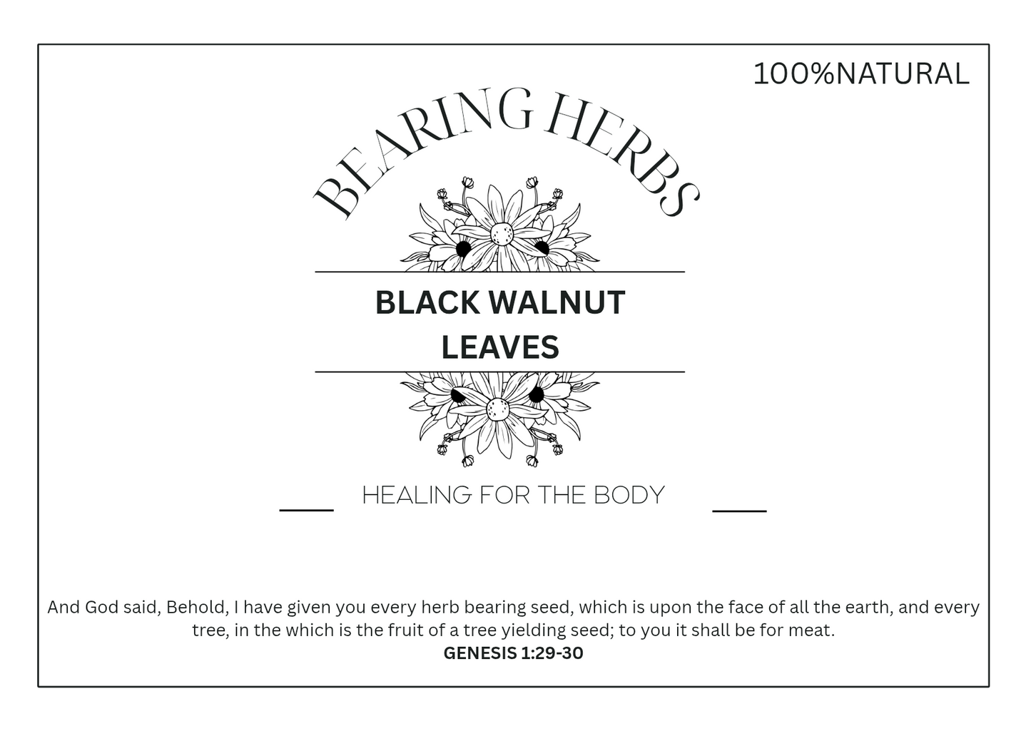 Black Walnut Leaves