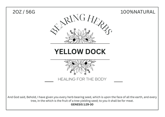 Yellow Dock