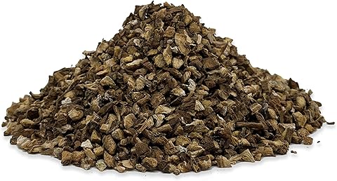 Burdock Root