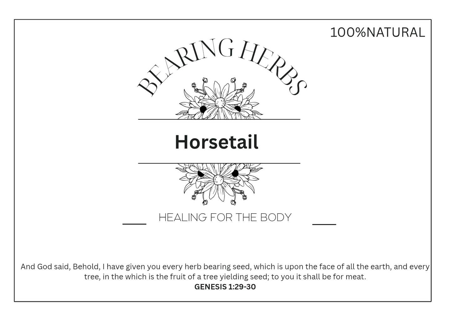 Horsetail