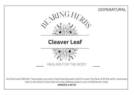 Cleavers Leaf