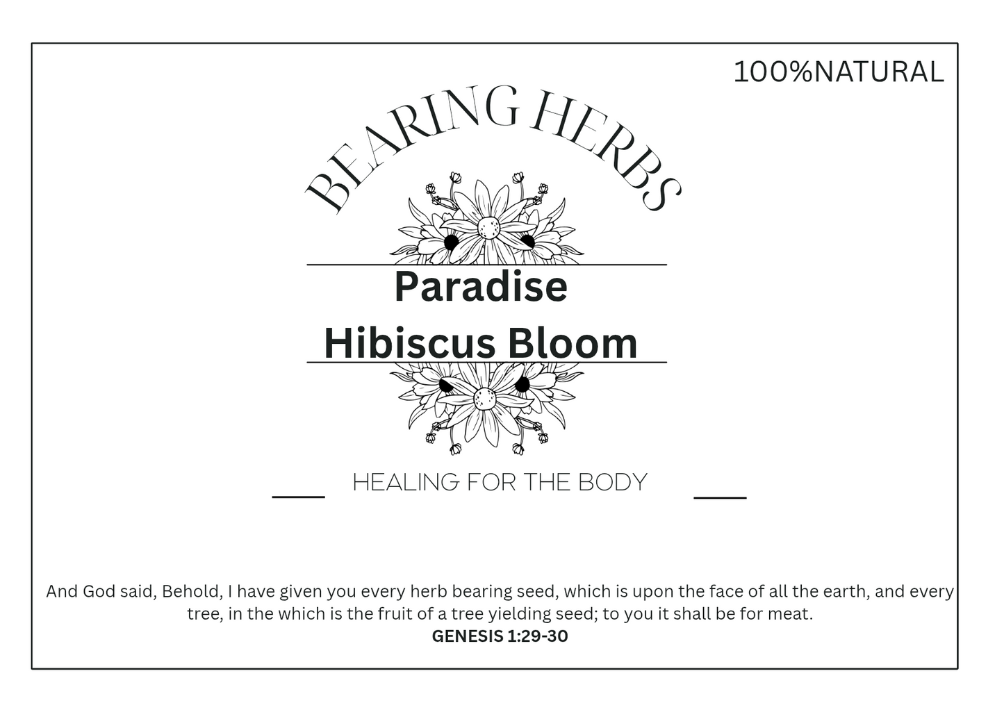 Paradise Hibiscus Bloom