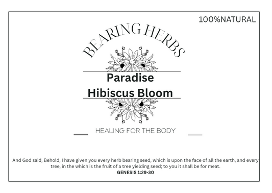 Paradise Hibiscus Bloom