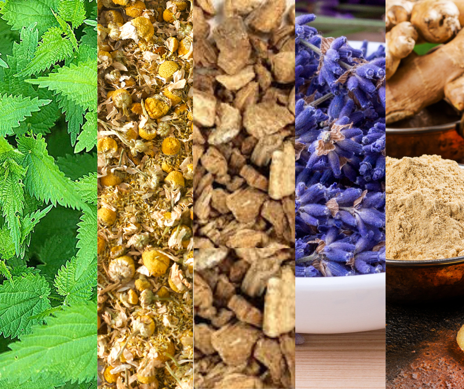Top 5 Healing Herbs You Should Have in Your Kitchen