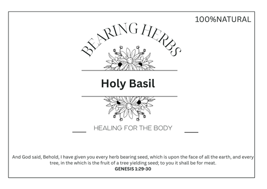 Holy Basil (Tulsi)