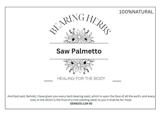 Saw Palmetto