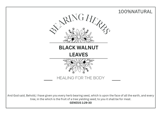 Black Walnut Leaves