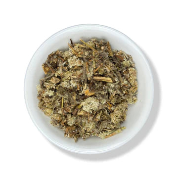 Mullein (Gordolobo)