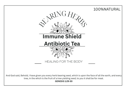 Immune Shield Antibiotic Tea