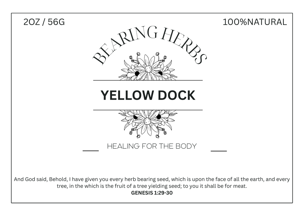 Yellow Dock