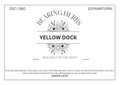 Yellow Dock