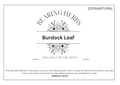 Burdock Leafs