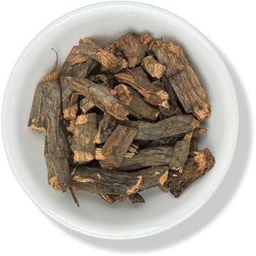 Sarsaparilla